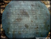 DSC03359-001