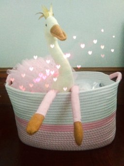 60887574_686105995153835_6097774346707664896_n